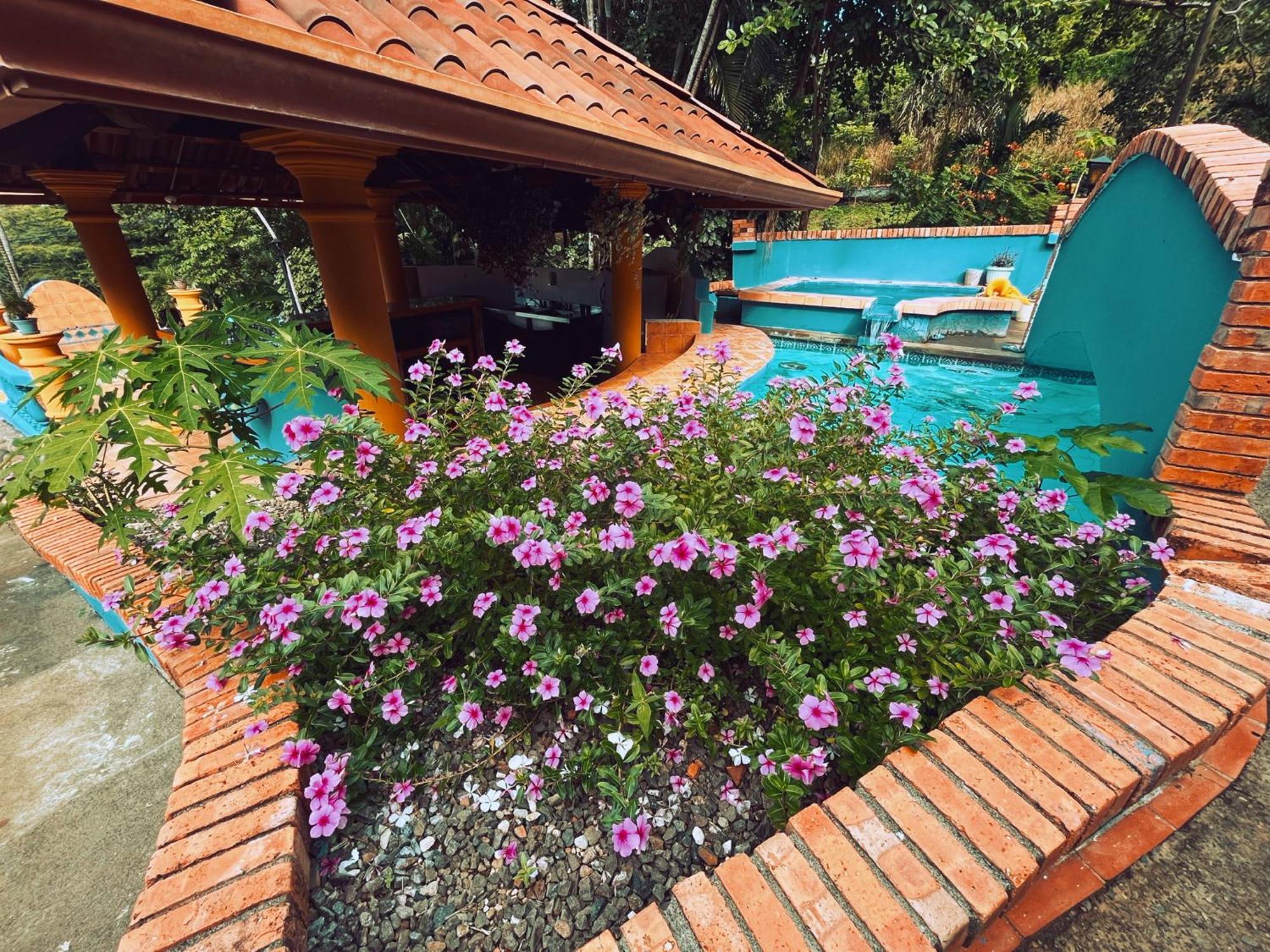 Siwo Art Guesthouse Playa Ocotal Eksteriør bilde